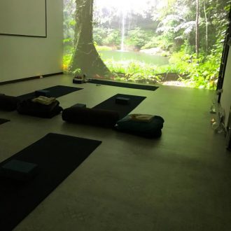 春日井市高蔵寺にある My Yoga Studio（マイヨガスタジオ）|春日井市高蔵寺にあるヨガスタジオ｜プロジェクターを使ったビジュアルヒーリングヨガを行なっています。