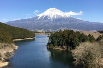 今日も楽しくヨガ