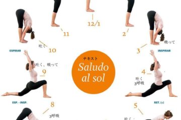 ラブレターD9　太陽礼拝☀️のポーズ(Surya Namaskar)