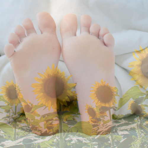 👣足指ほぐすだけで巡りが変わる？ 夏バテ予防に効く簡単ヨガ