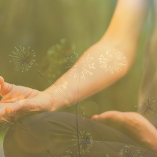 🧘‍♀️その息が、もうヨガ。“呼吸するだけで変わる心と体”