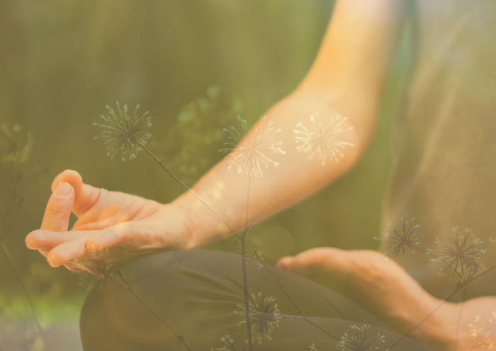 🧘‍♀️その息が、もうヨガ。“呼吸するだけで変わる心と体”